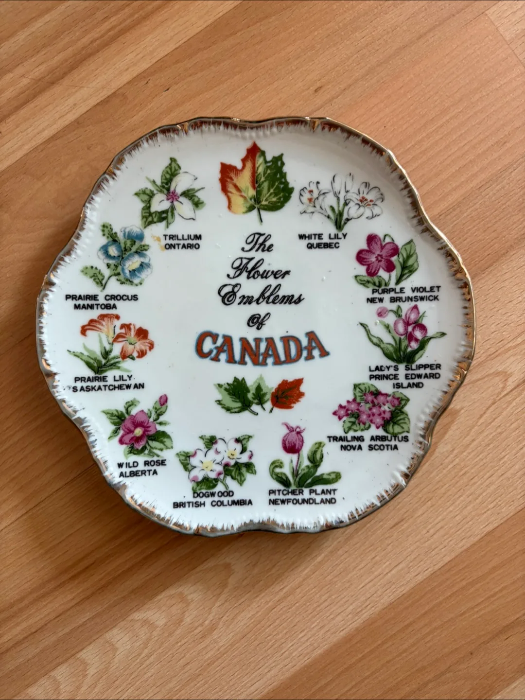 Vintage Flower Emblems of Canada Plate $10 firm thumbnail