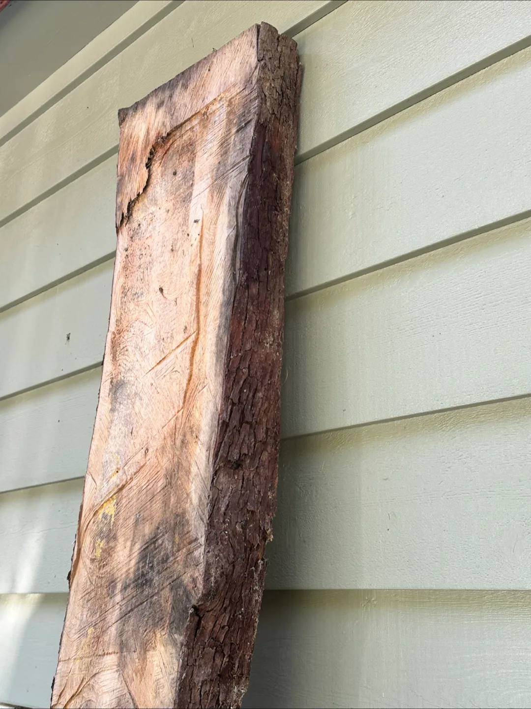 Live Edge Wood Slab thumbnail