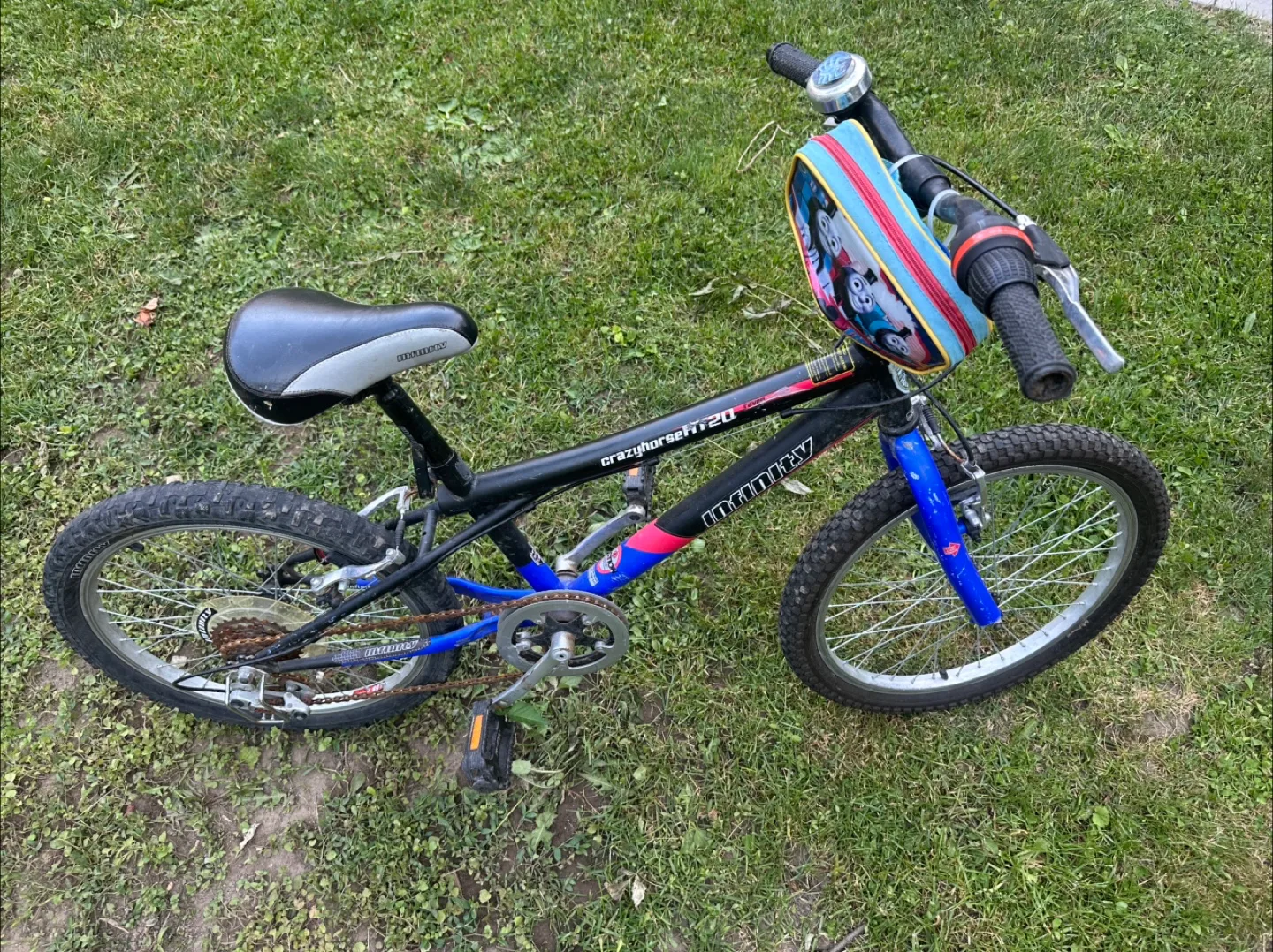 Infinity Youth Bicycle 20” image indicator(2)