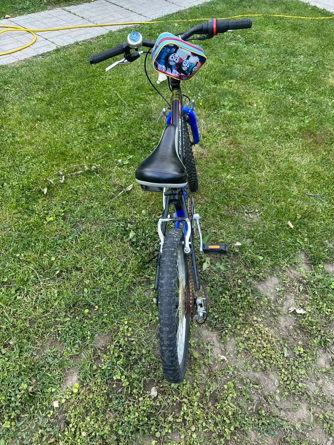 Infinity Youth Bicycle 20” image indicator(4)