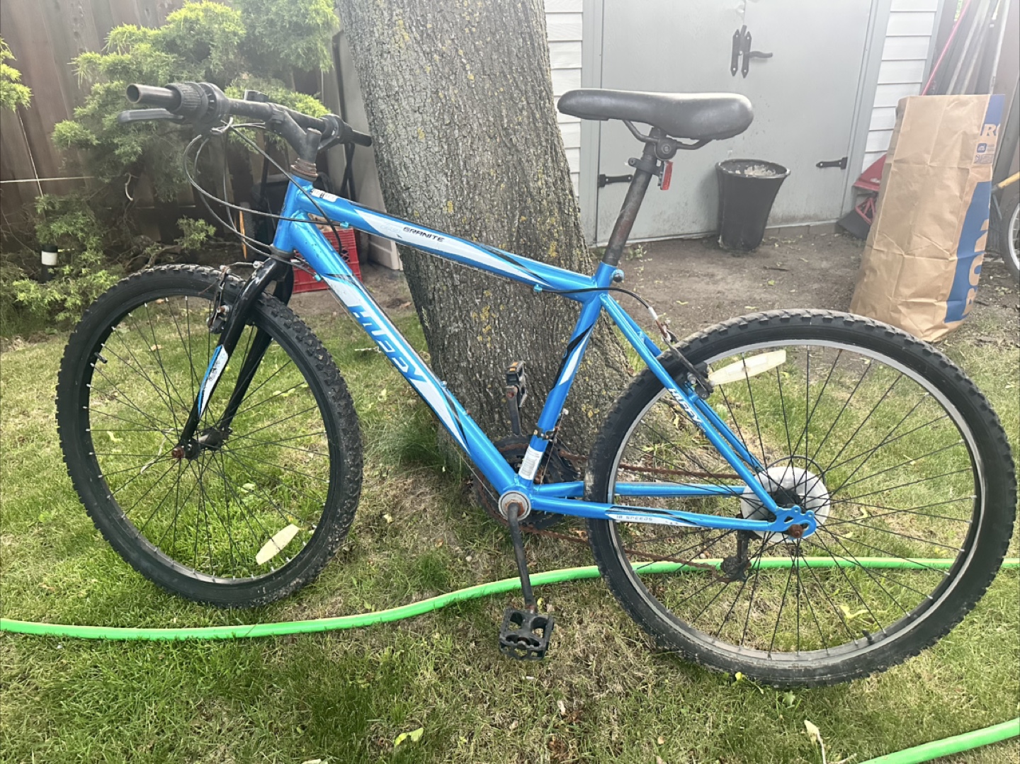 Adult Bikes
