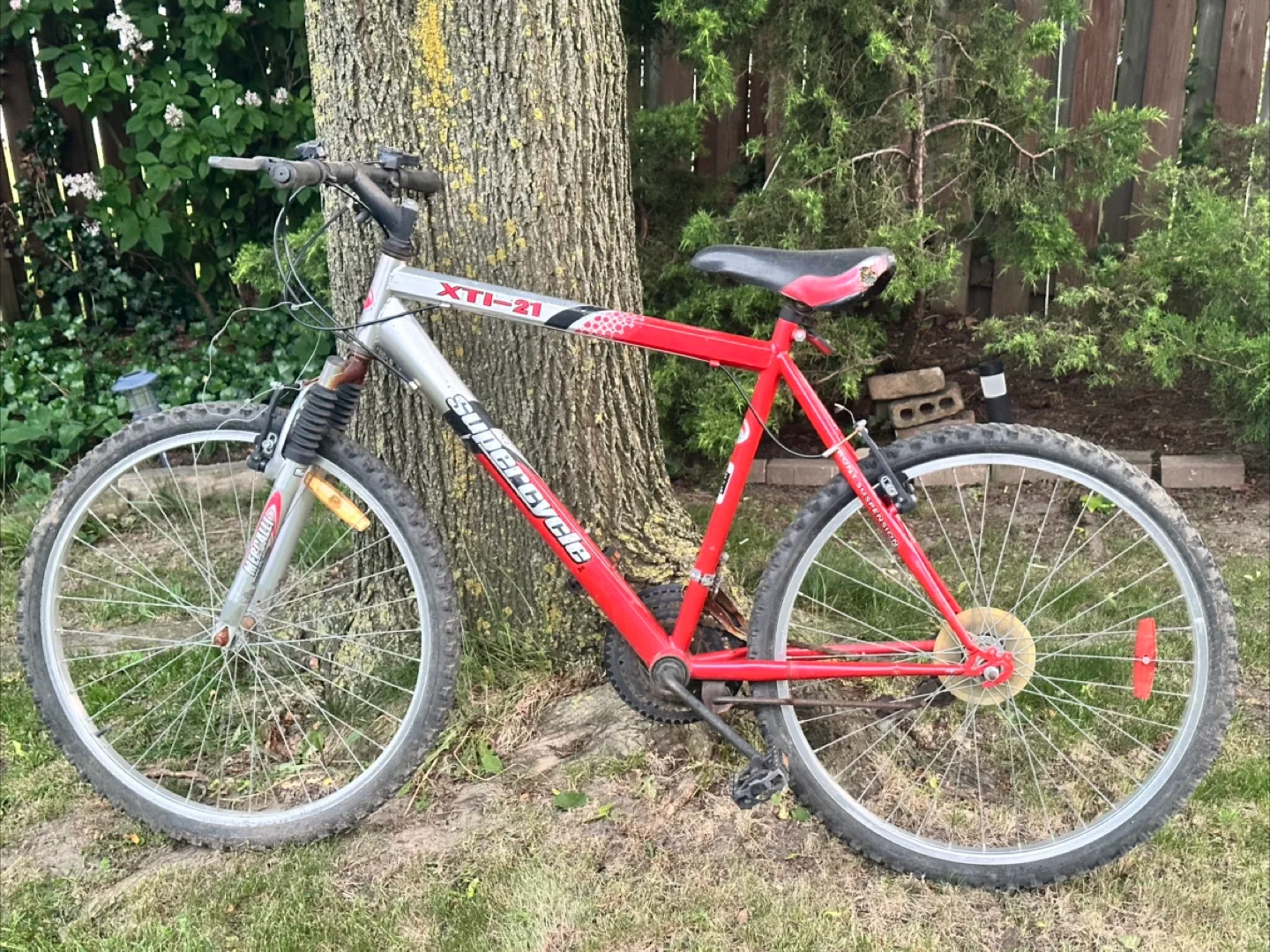 Adult Bikes image indicator(2)