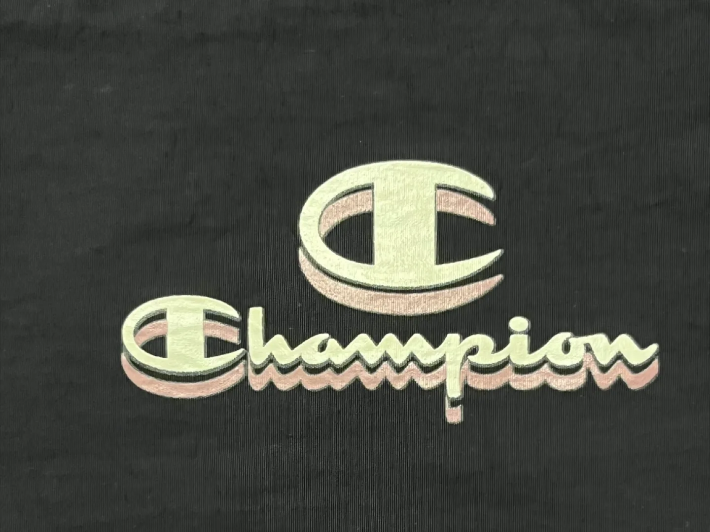 Champion Fanny Pack image indicator(3)