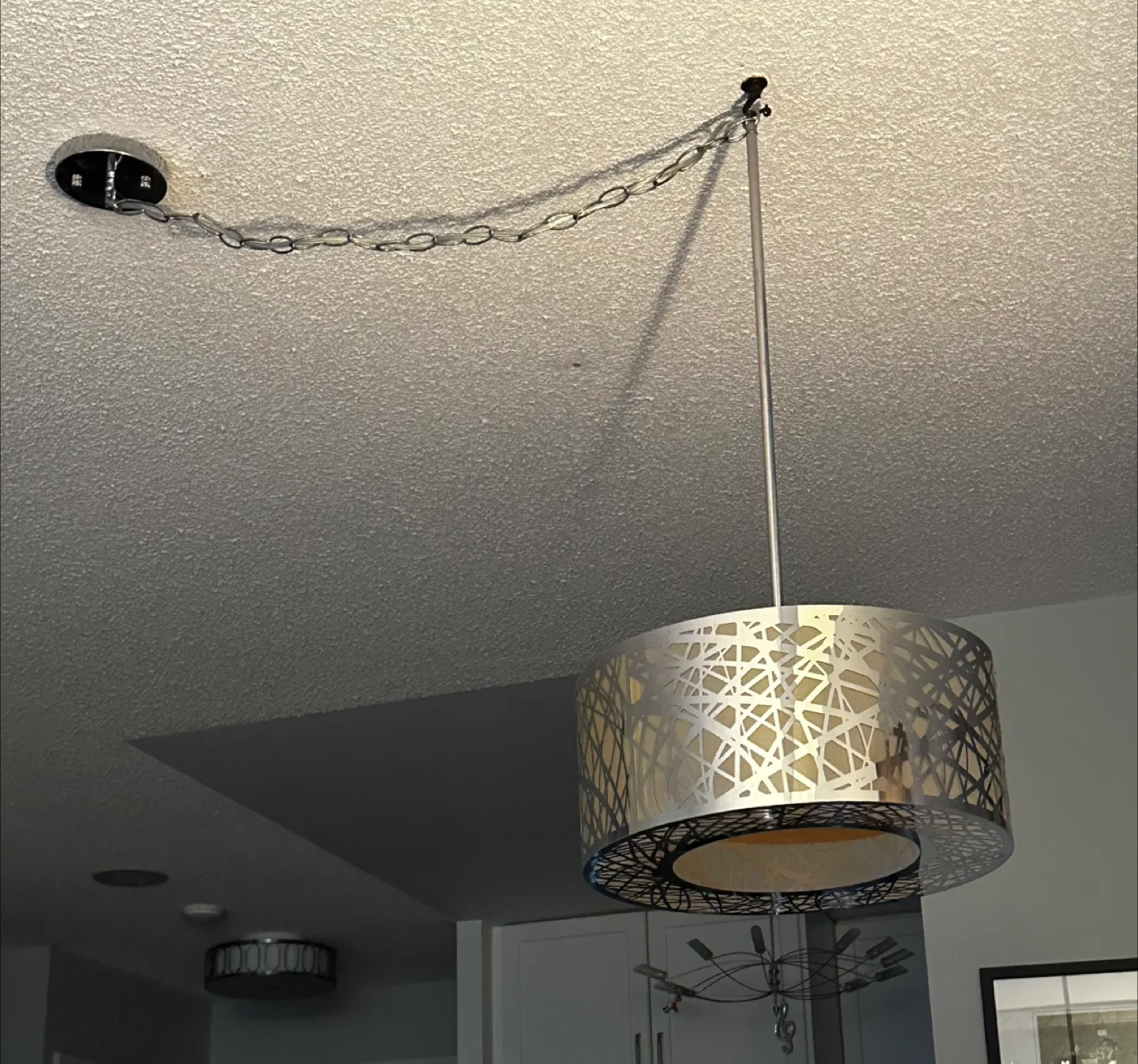 Decorative Ceiling Light Fixture thumbnail