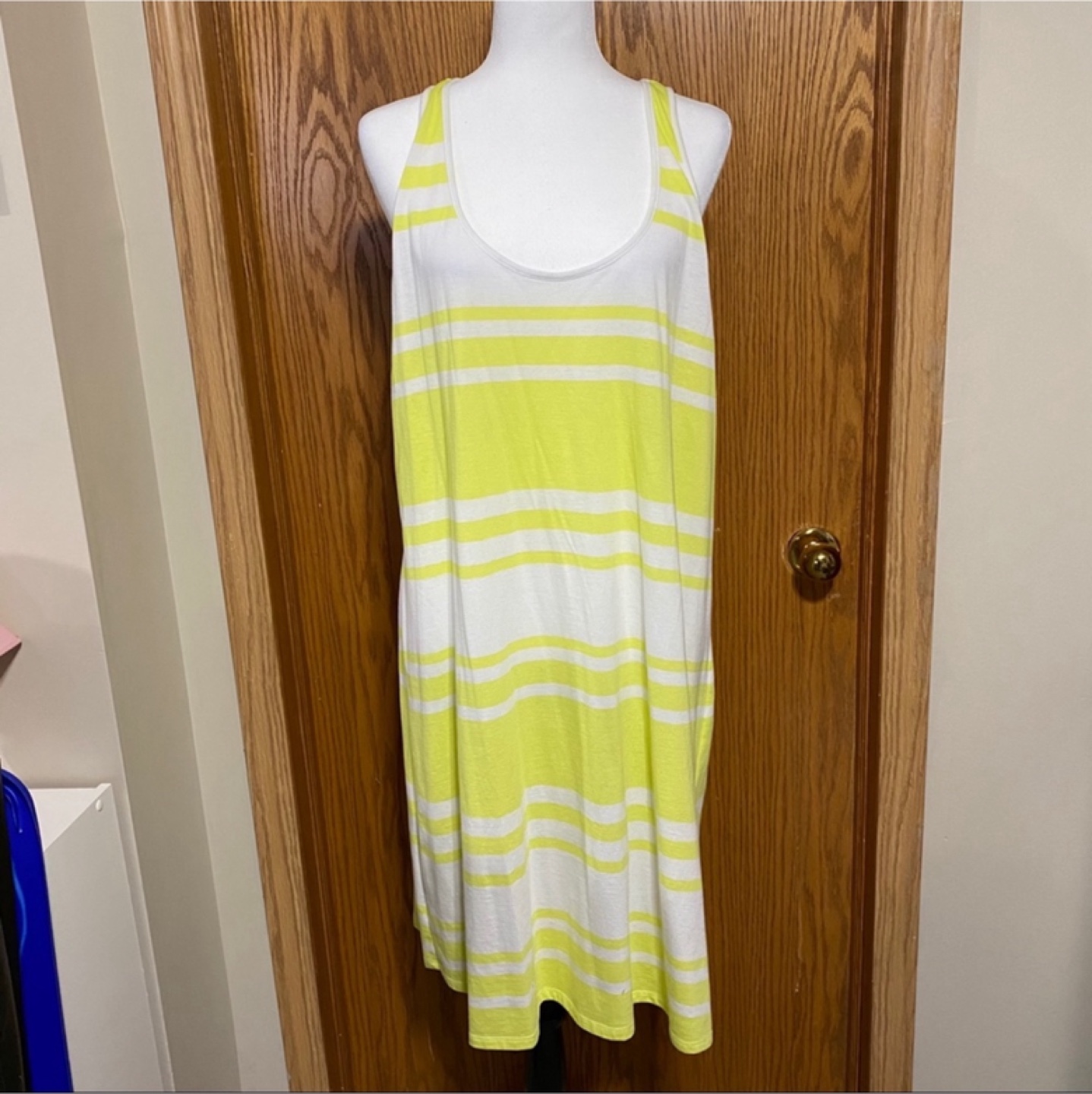 Plus size women’s razor tank dress