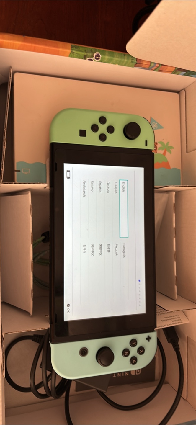 Nintendo Switch Animal Crossing Edition Console