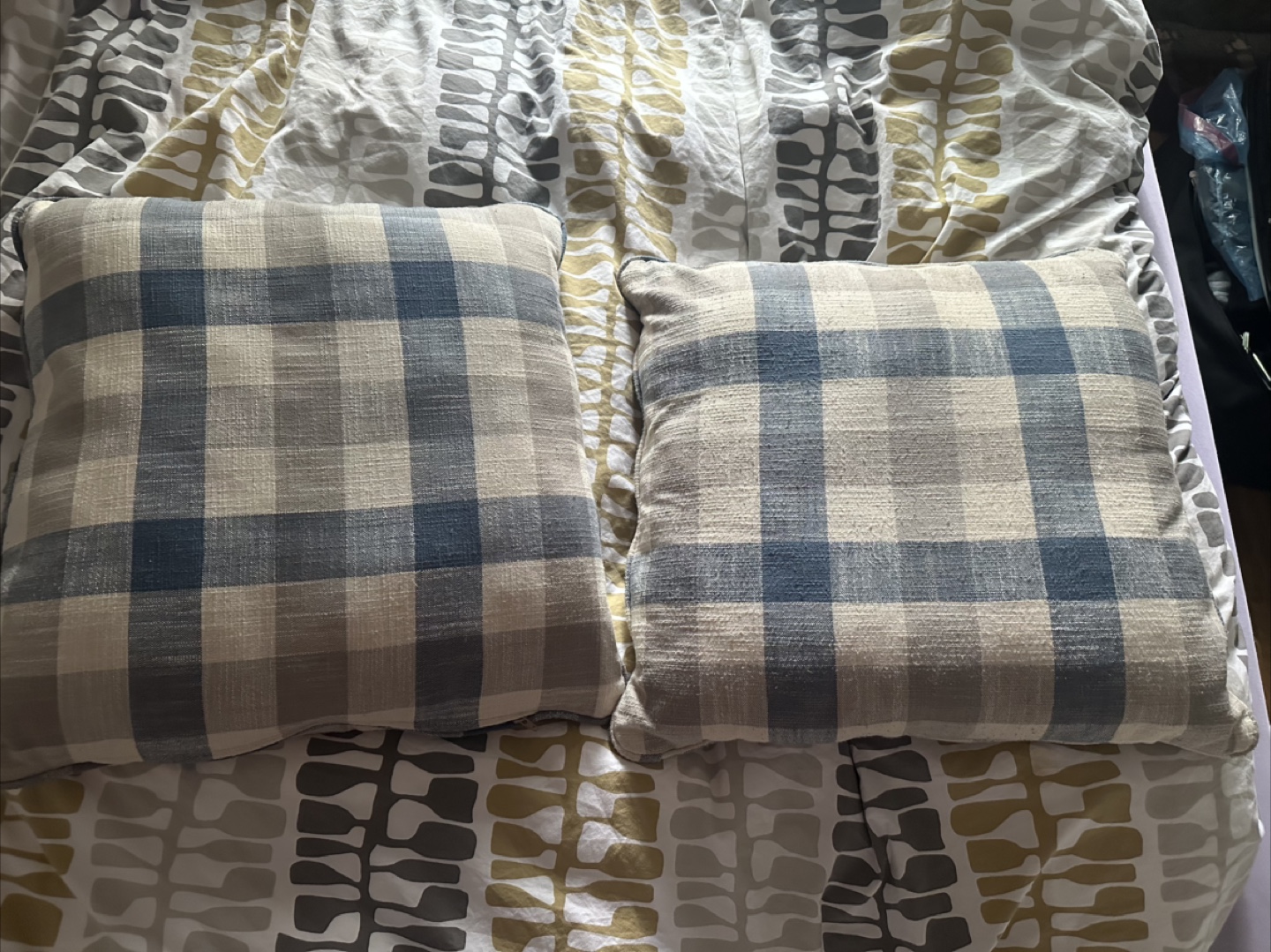 Throw Pillows
