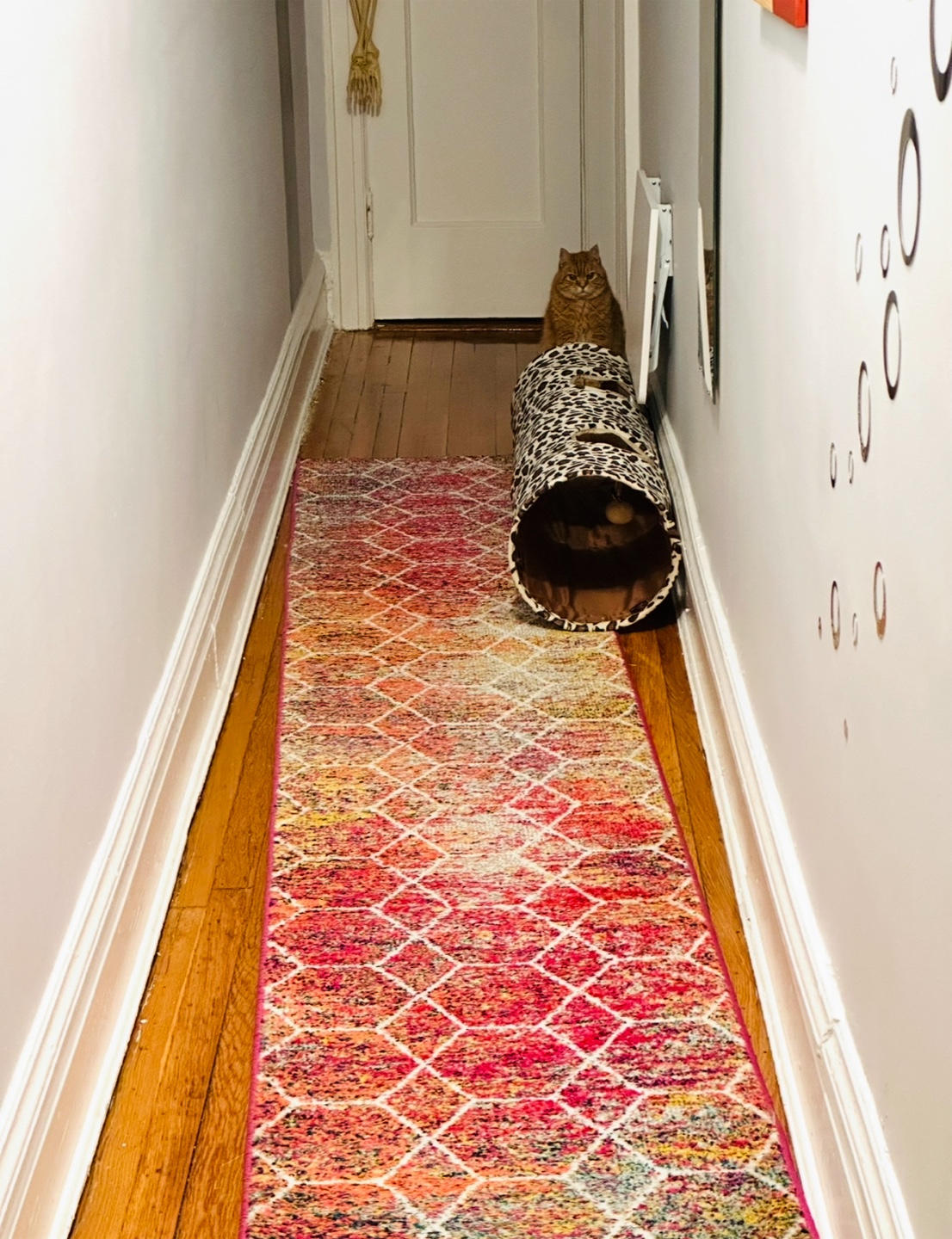 Runner rug $25 OBO