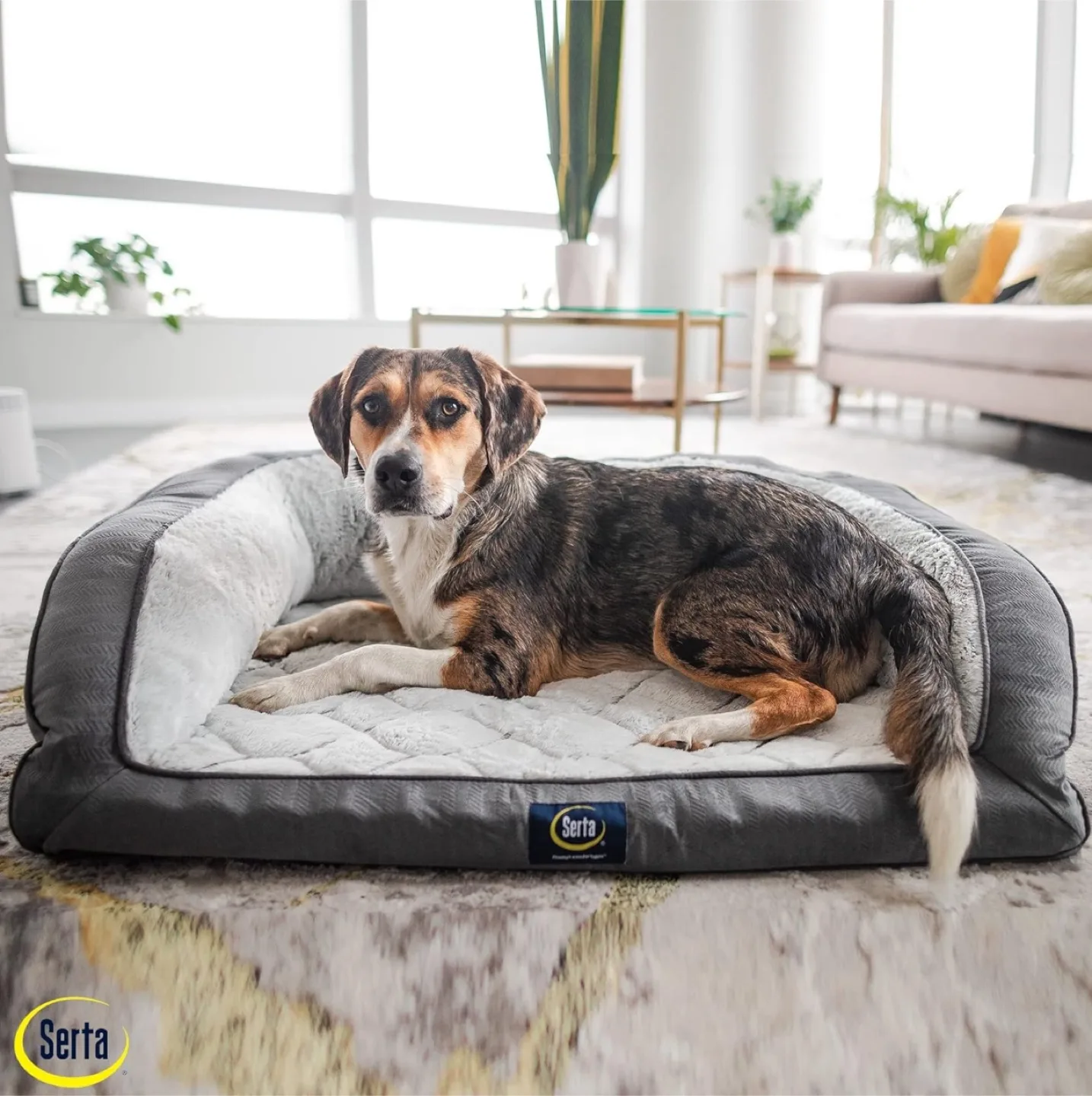 Serta Orthopedic Supportive Foam Quilted Couch Dog Bed thumbnail