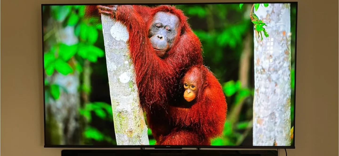 Hisense 75" Class - U68N Series - 4K QLED Mini LED TV thumbnail