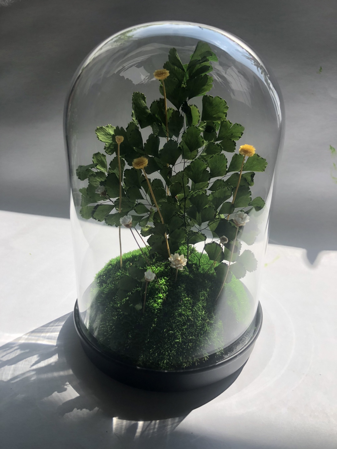 Unique Floral Display in Glass Dome - photo 3