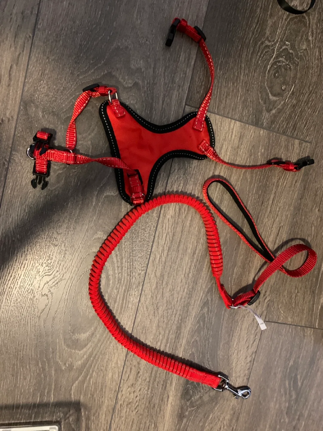 Red Pet Harness with Leash thumbnail