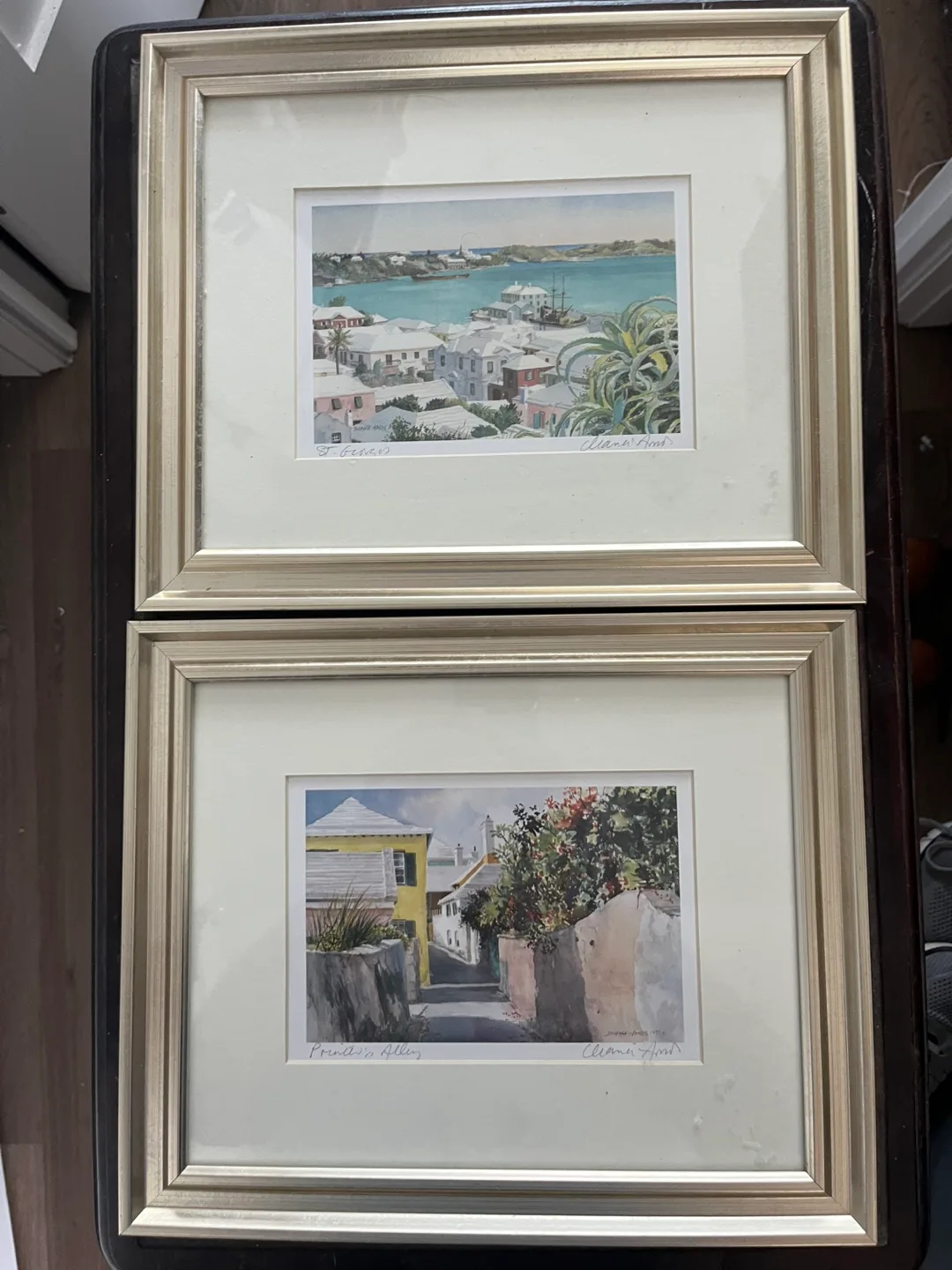 Original Watercolour Paintings by Cleona Amos image indicator(3)