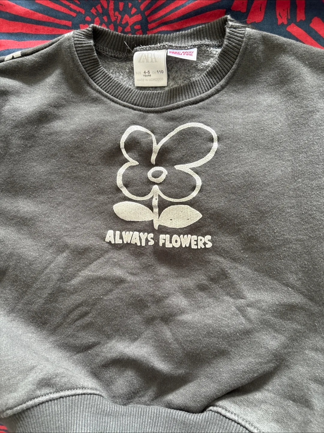 Zara Always Flowers 4yrs old thumbnail