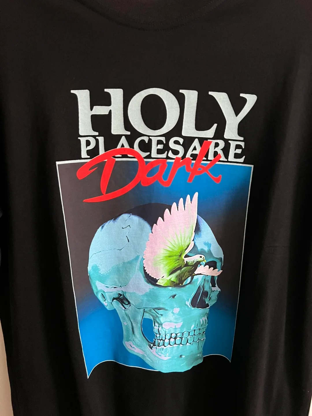 AMBUSH Holy Places Skull Y2K Tee Size L🥕 image indicator(2)