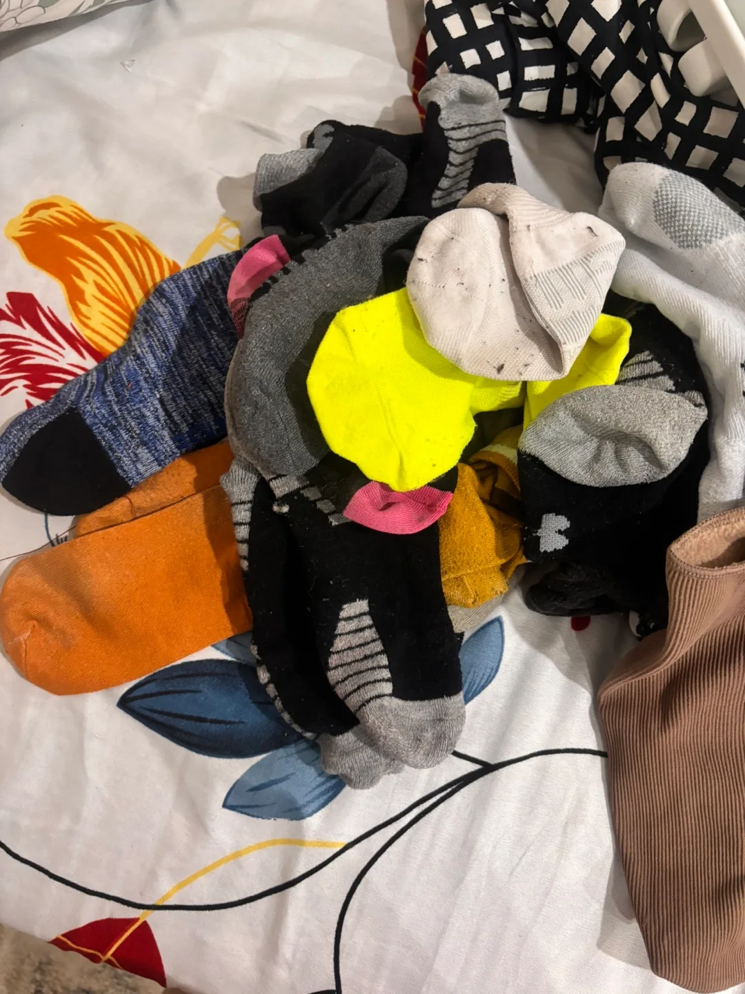 Clothes - Medium size image indicator(2)