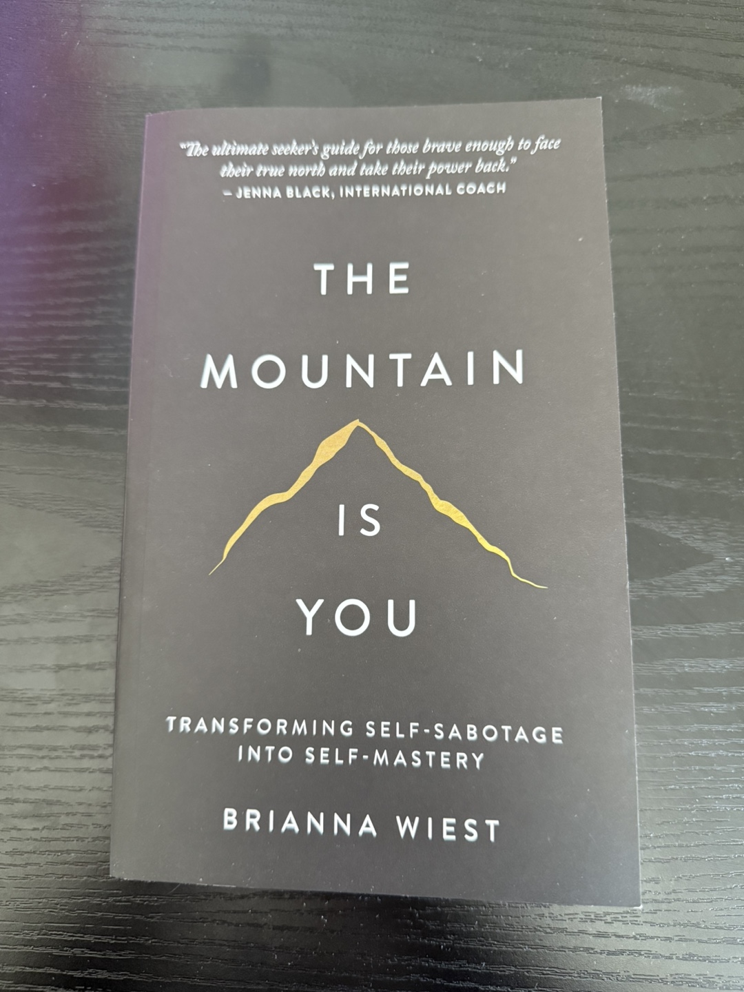 The Mountain Is You Book