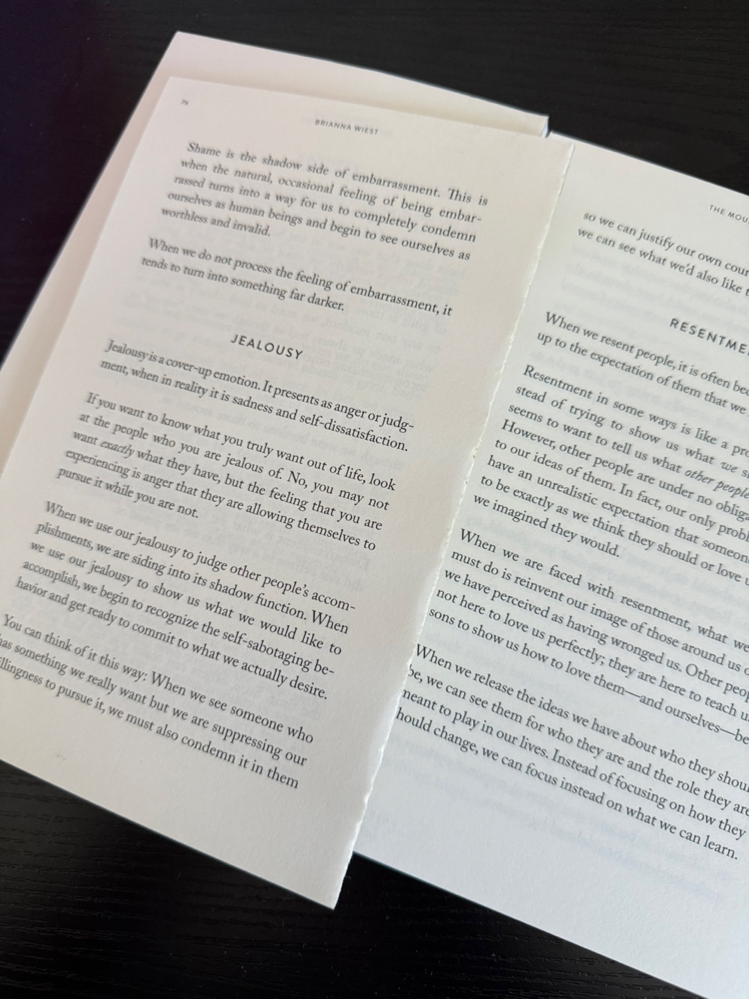 The Mountain Is You Book - photo 2