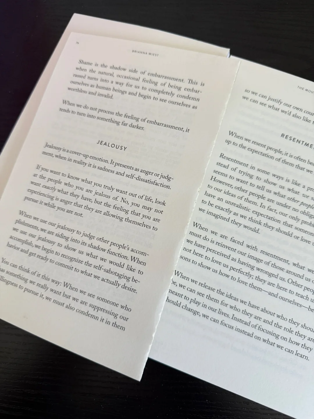 The Mountain Is You Book image indicator(2)