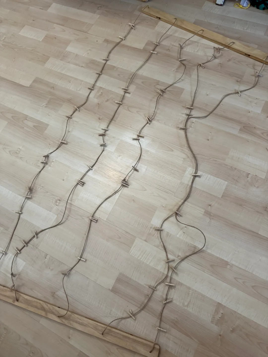 Photo Display String With Clips made by Umbra thumbnail