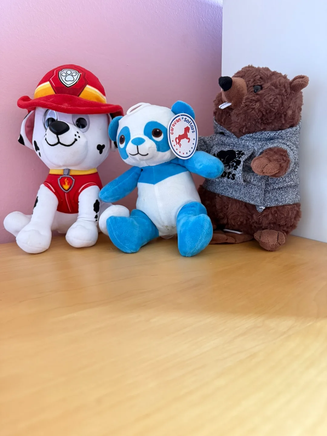 Paw Patrol only Available thumbnail