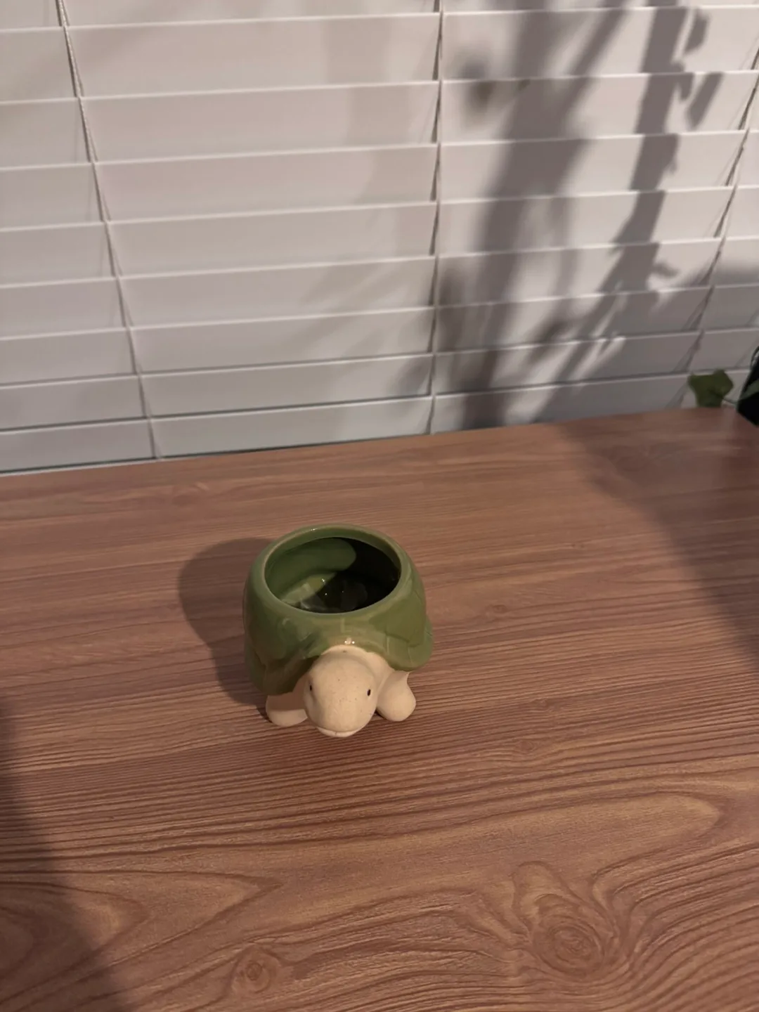 Turtle Planter thumbnail