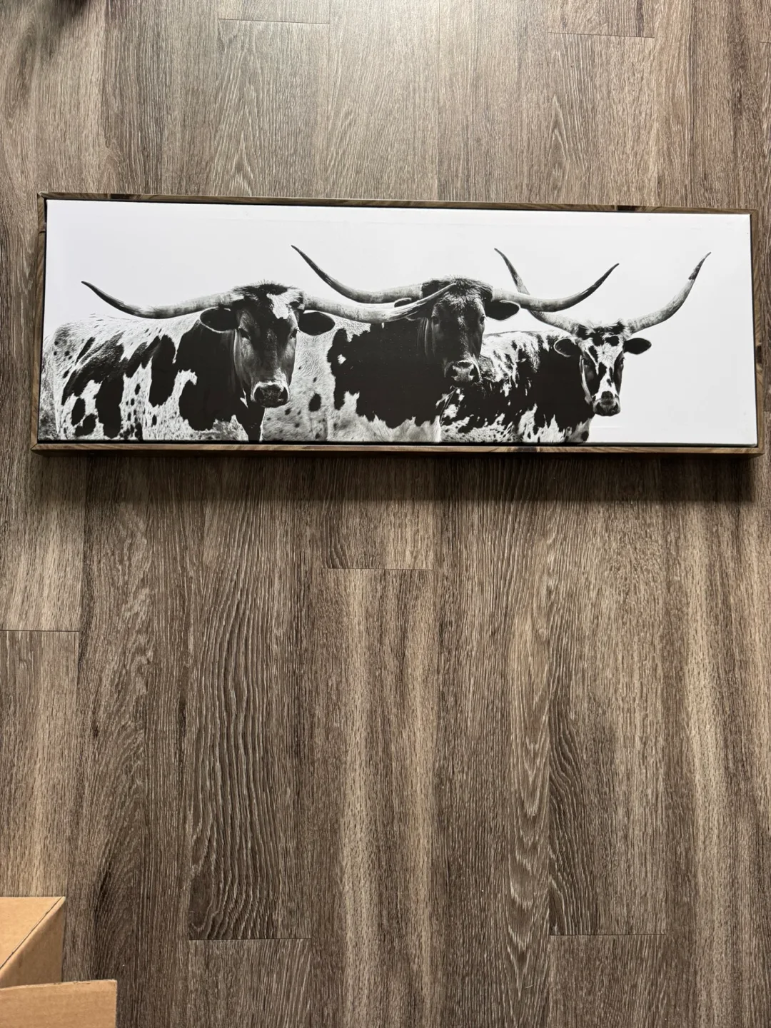 Black and White Longhorn Canvas Wall Art thumbnail