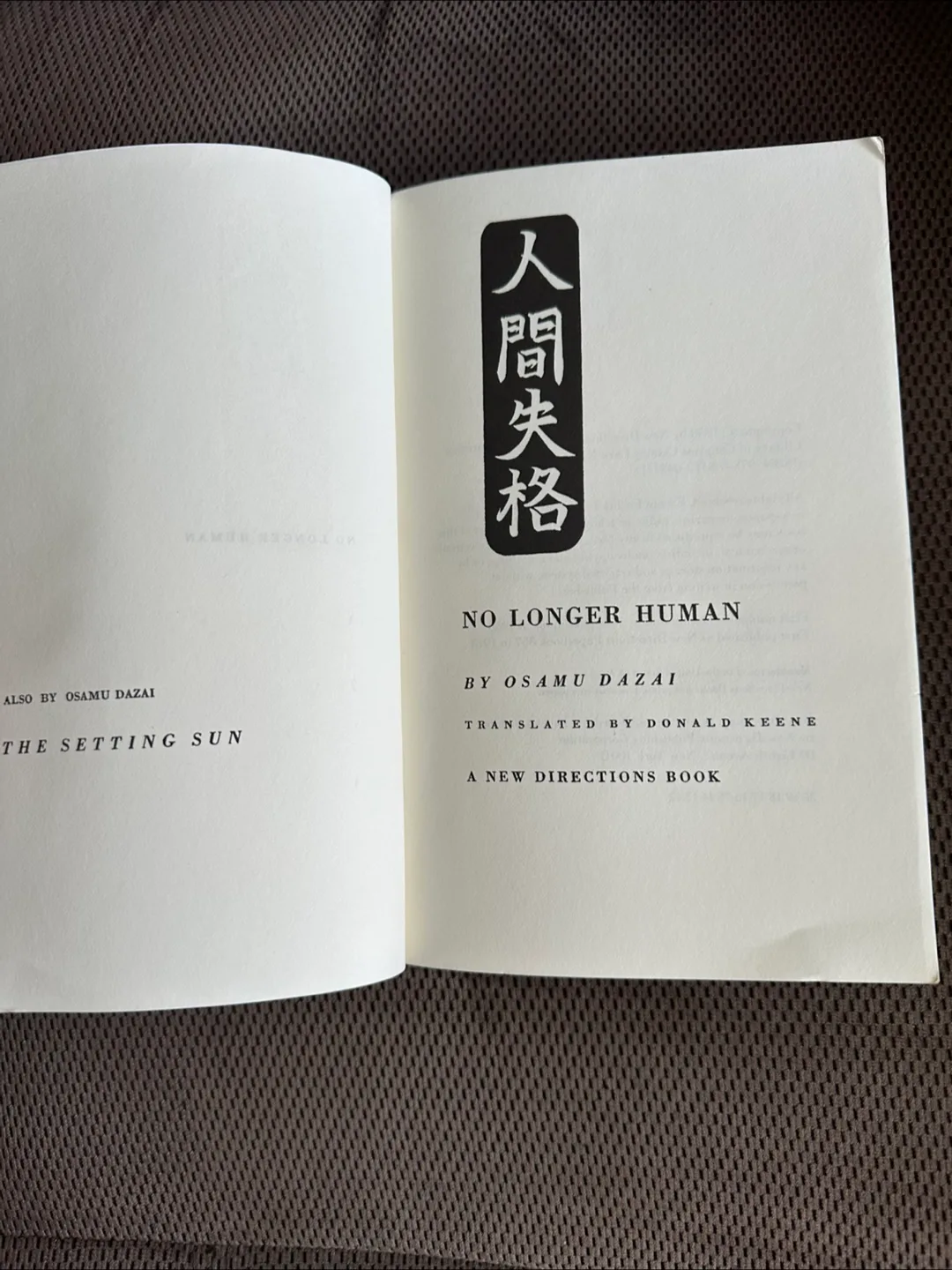 No Longer Human - Book image indicator(3)