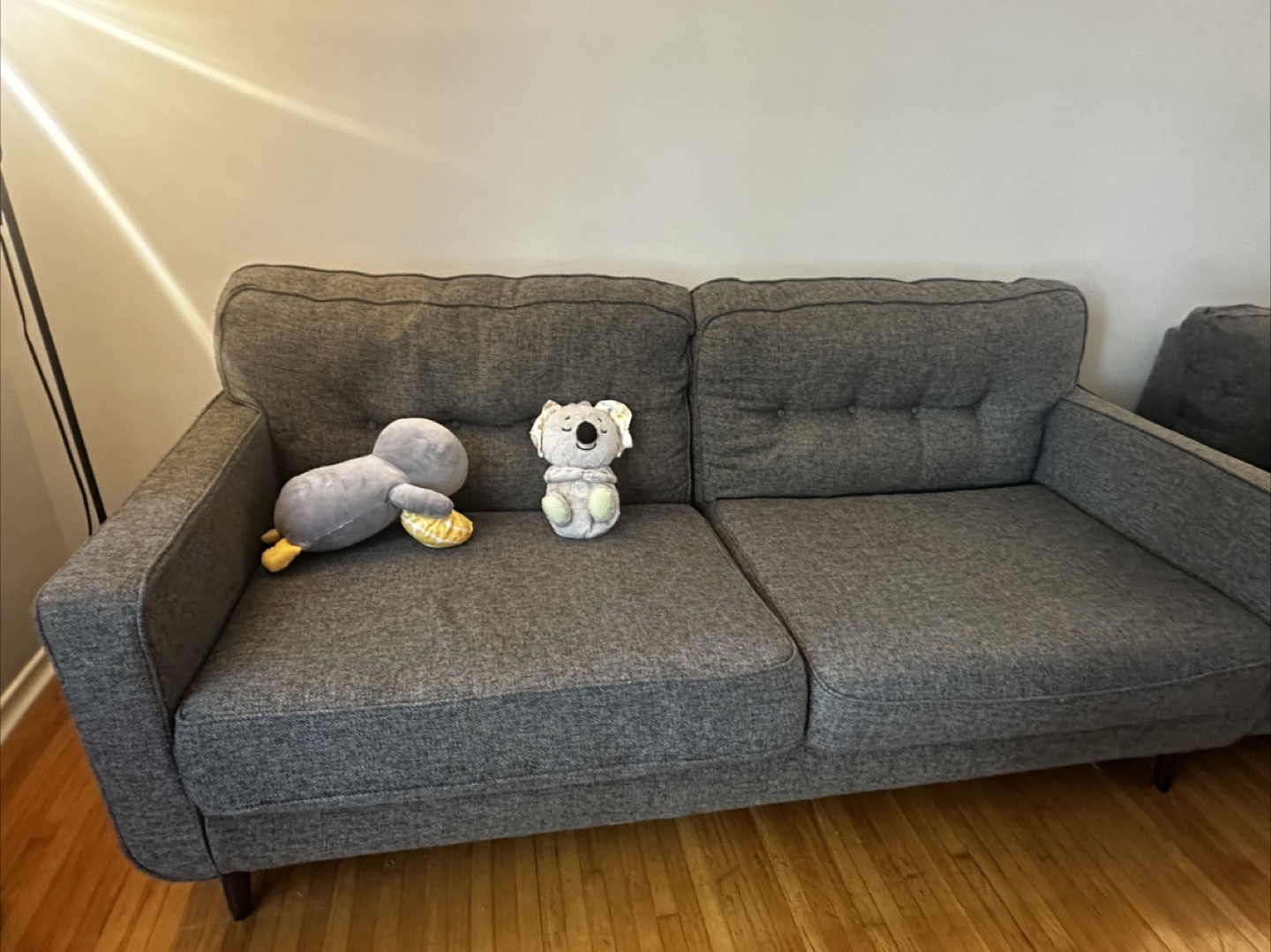 Grey couch
