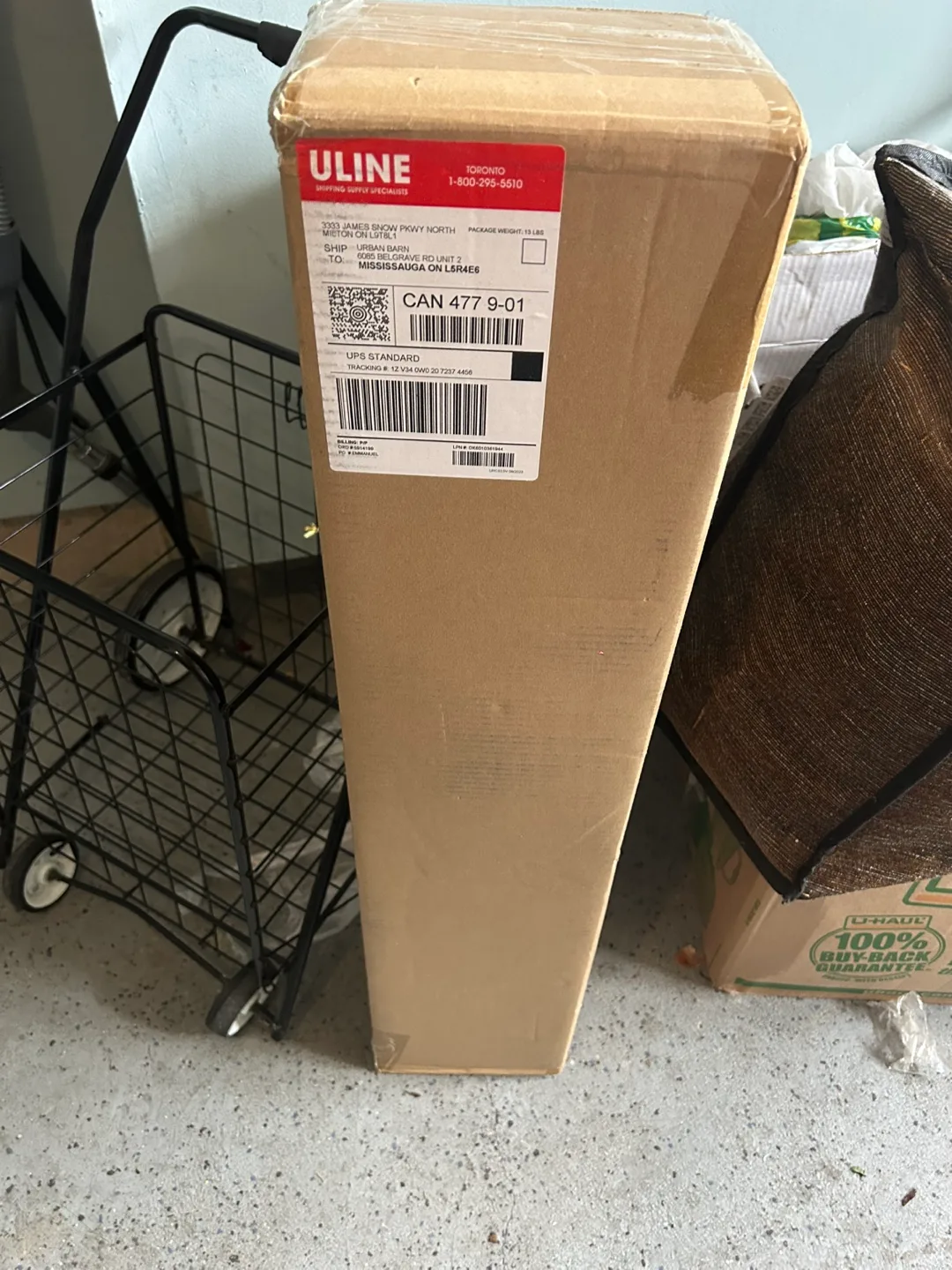 New In Box Black & Lime camp chair