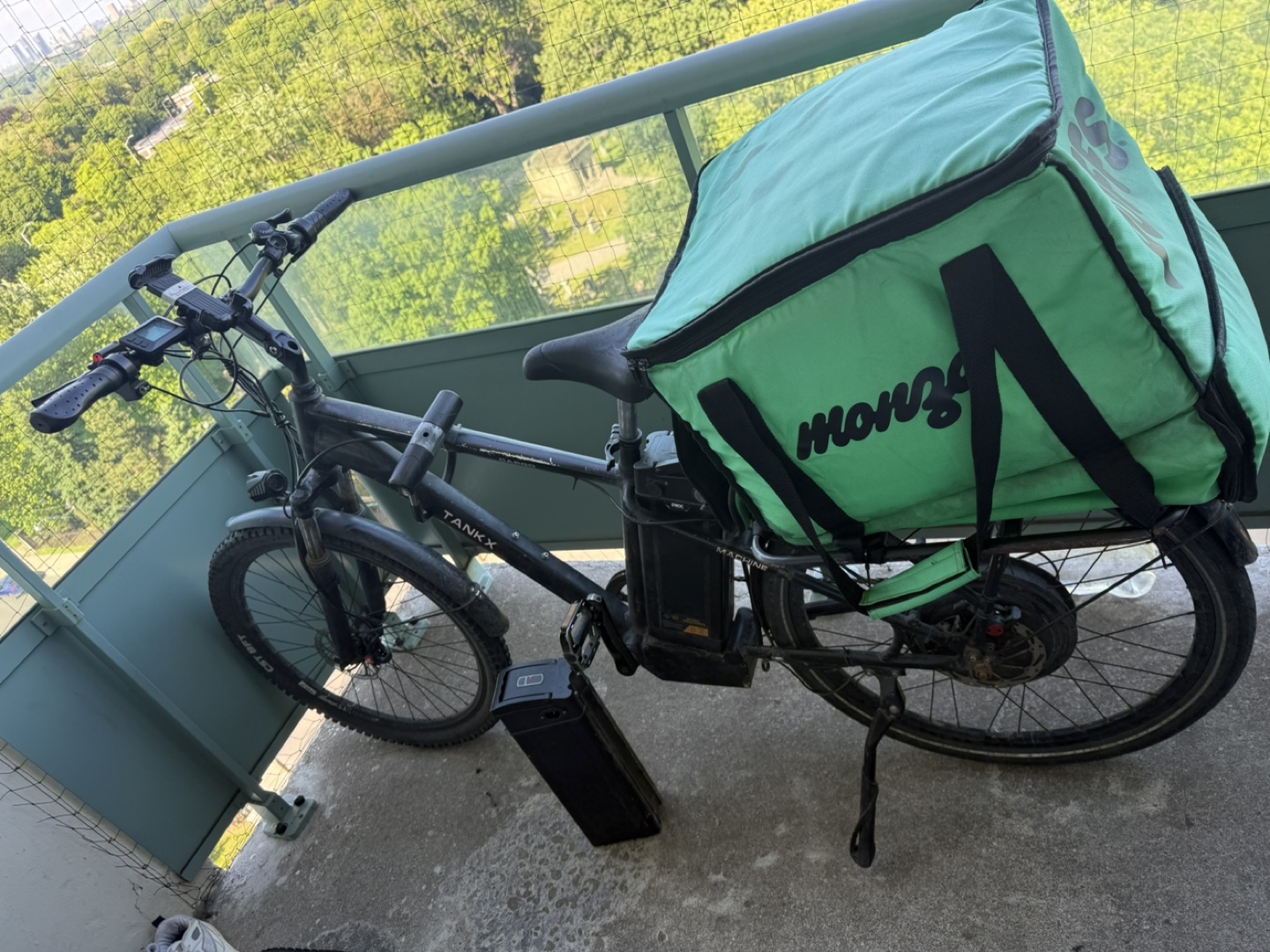 Electric Bike - photo 3