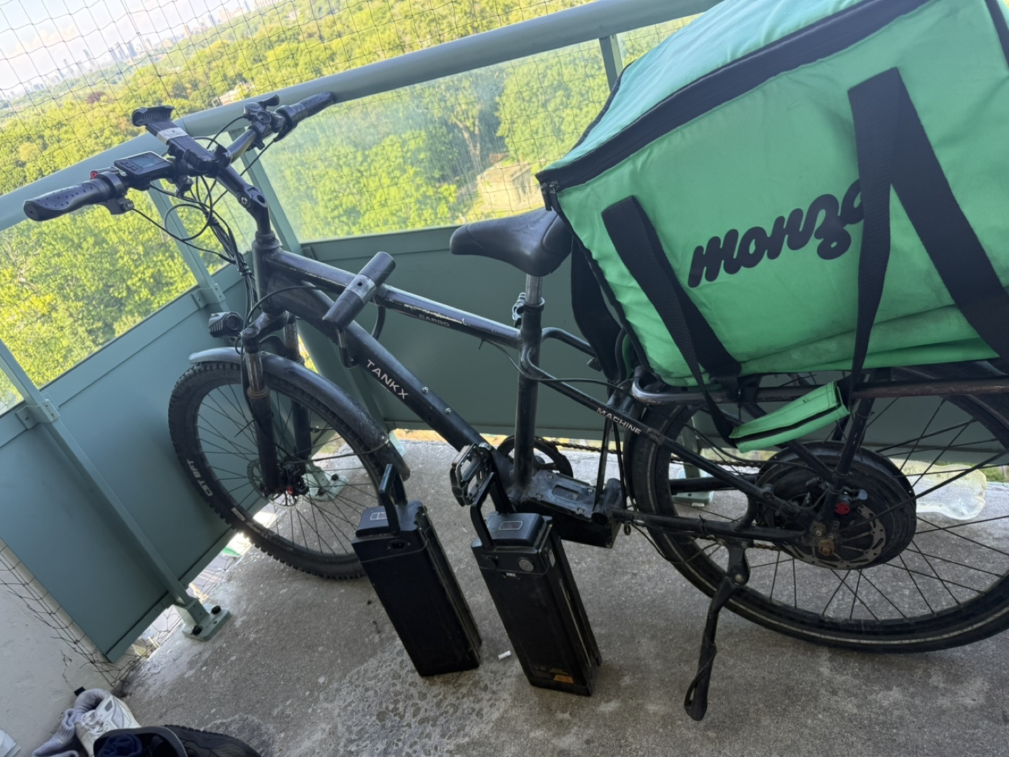 Electric Bike - photo 4