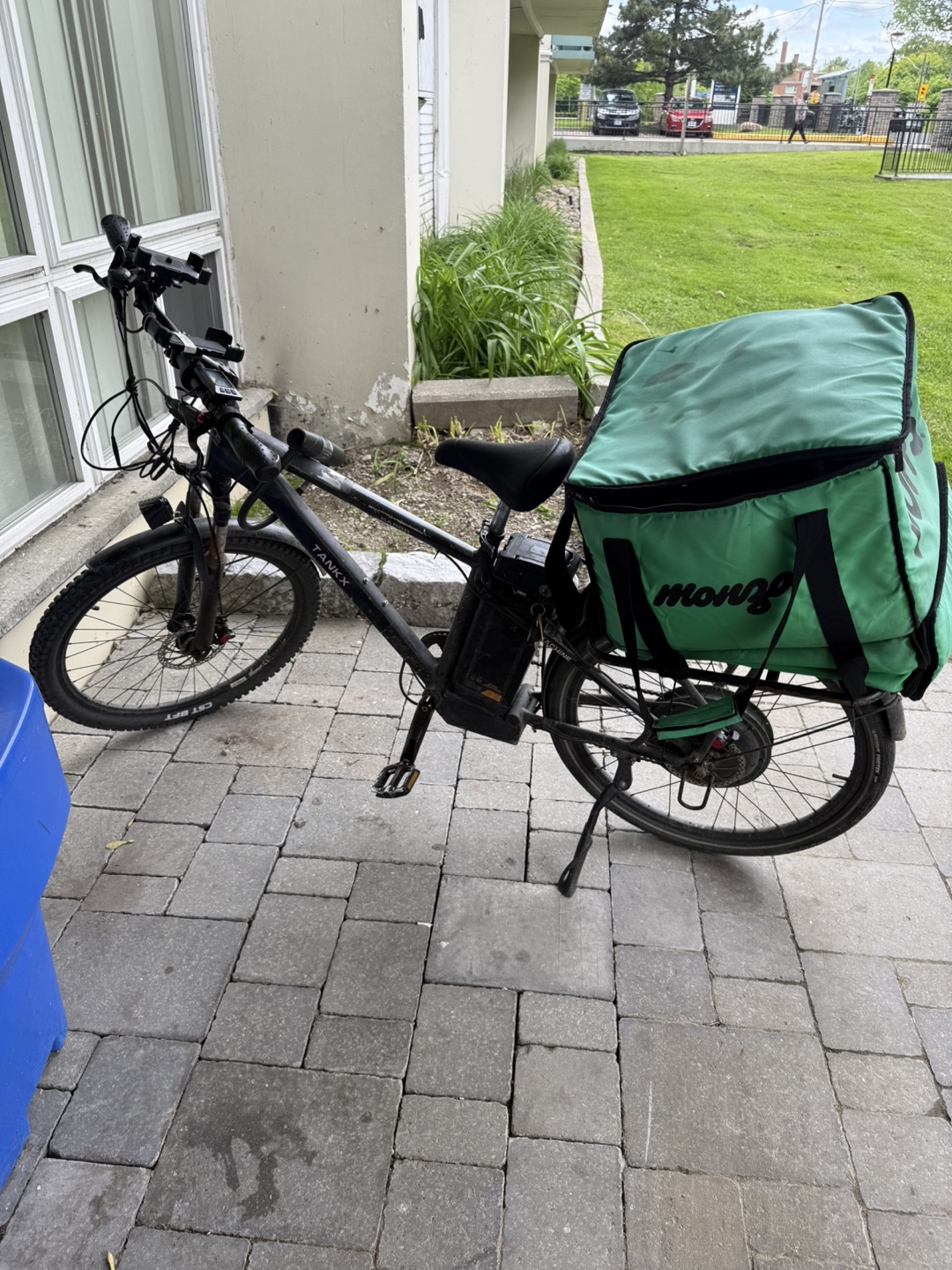 Electric Bike - photo 5