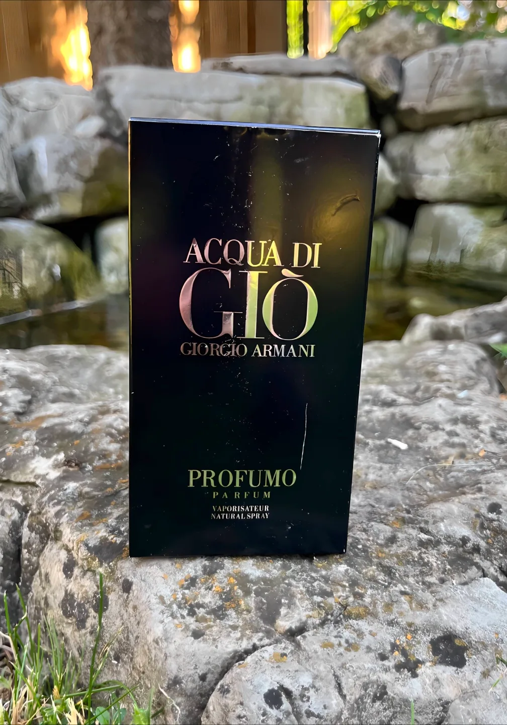 Acqua Di Gio Profumo Giorgio Armani Perfume - 100ml image indicator(2)