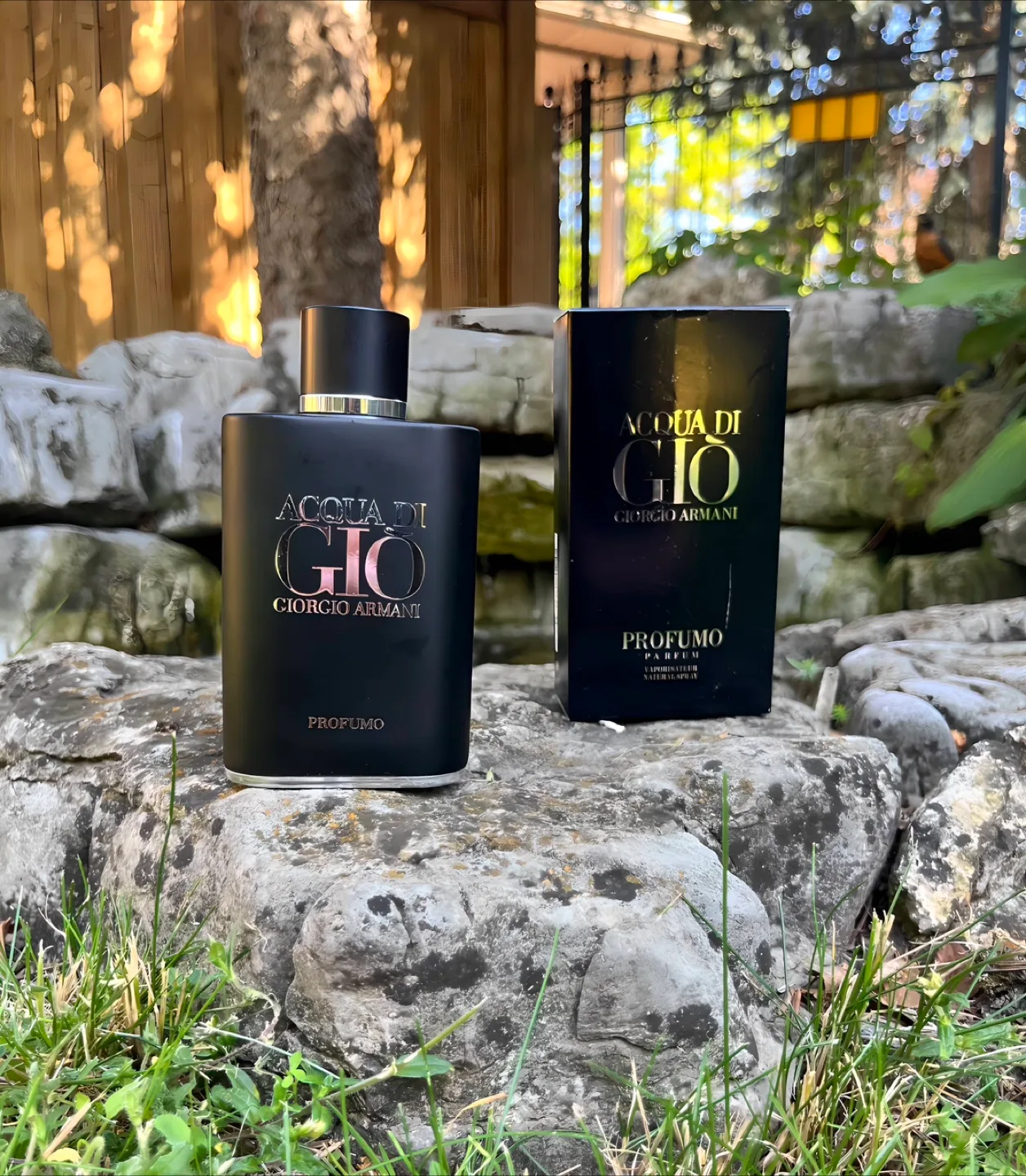 Acqua Di Gio Profumo Giorgio Armani Perfume - 100ml thumbnail
