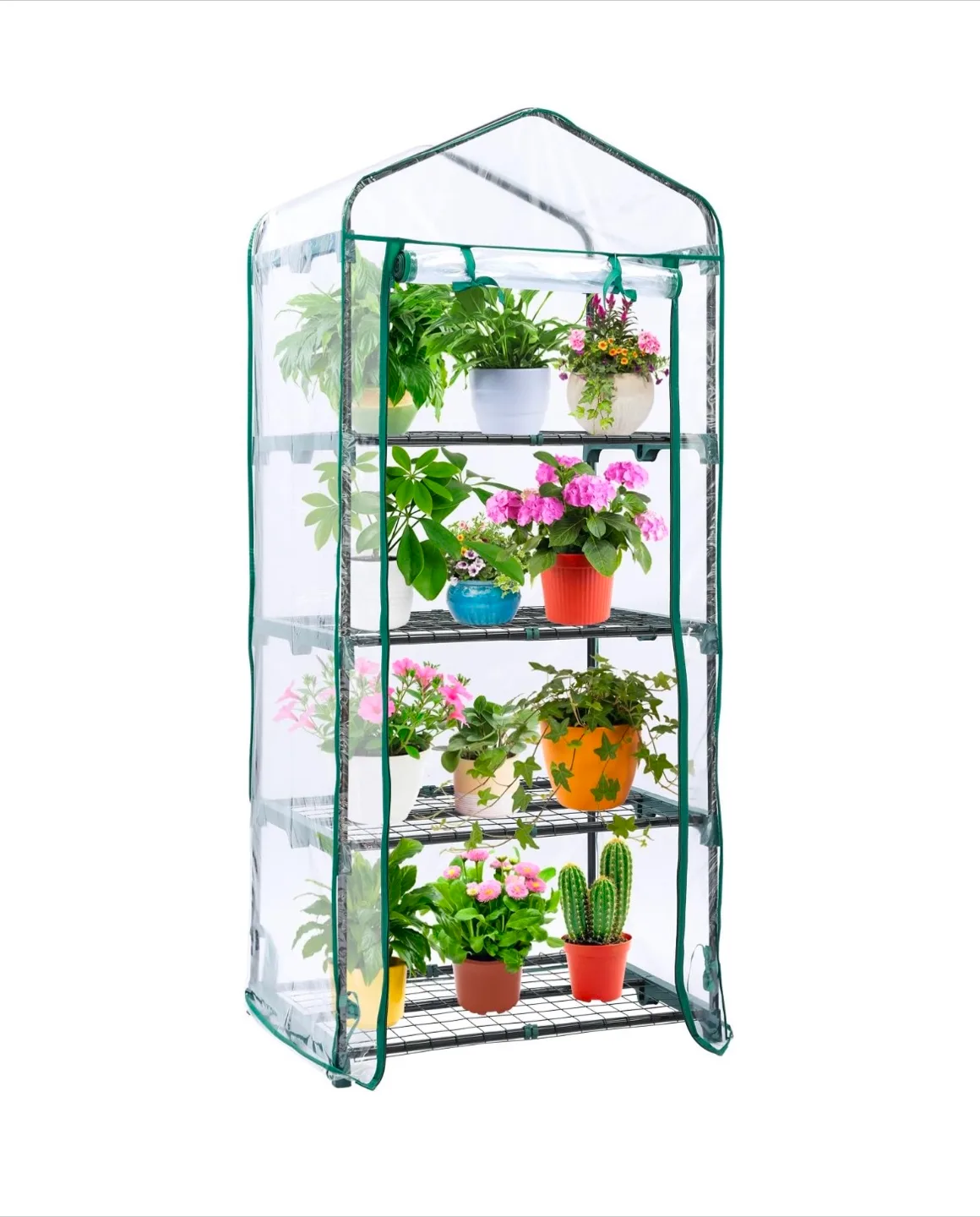 Indoor/Outdoor Mini Greenhouse💚 thumbnail