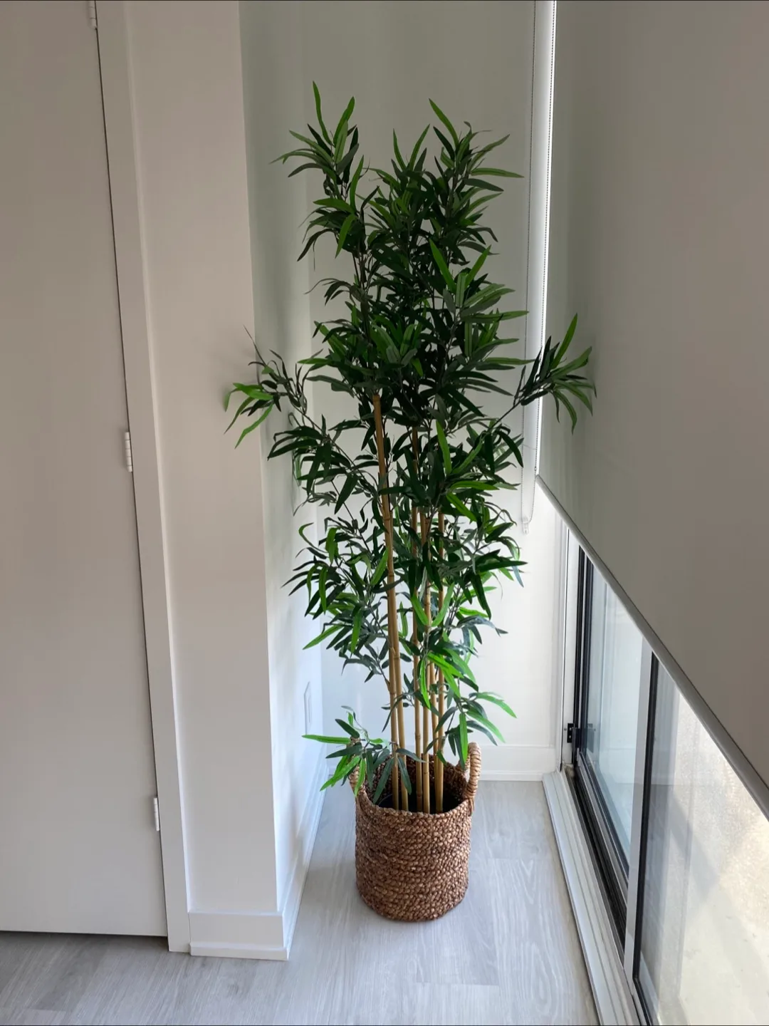 Artificial Bamboo Plant image indicator(2)