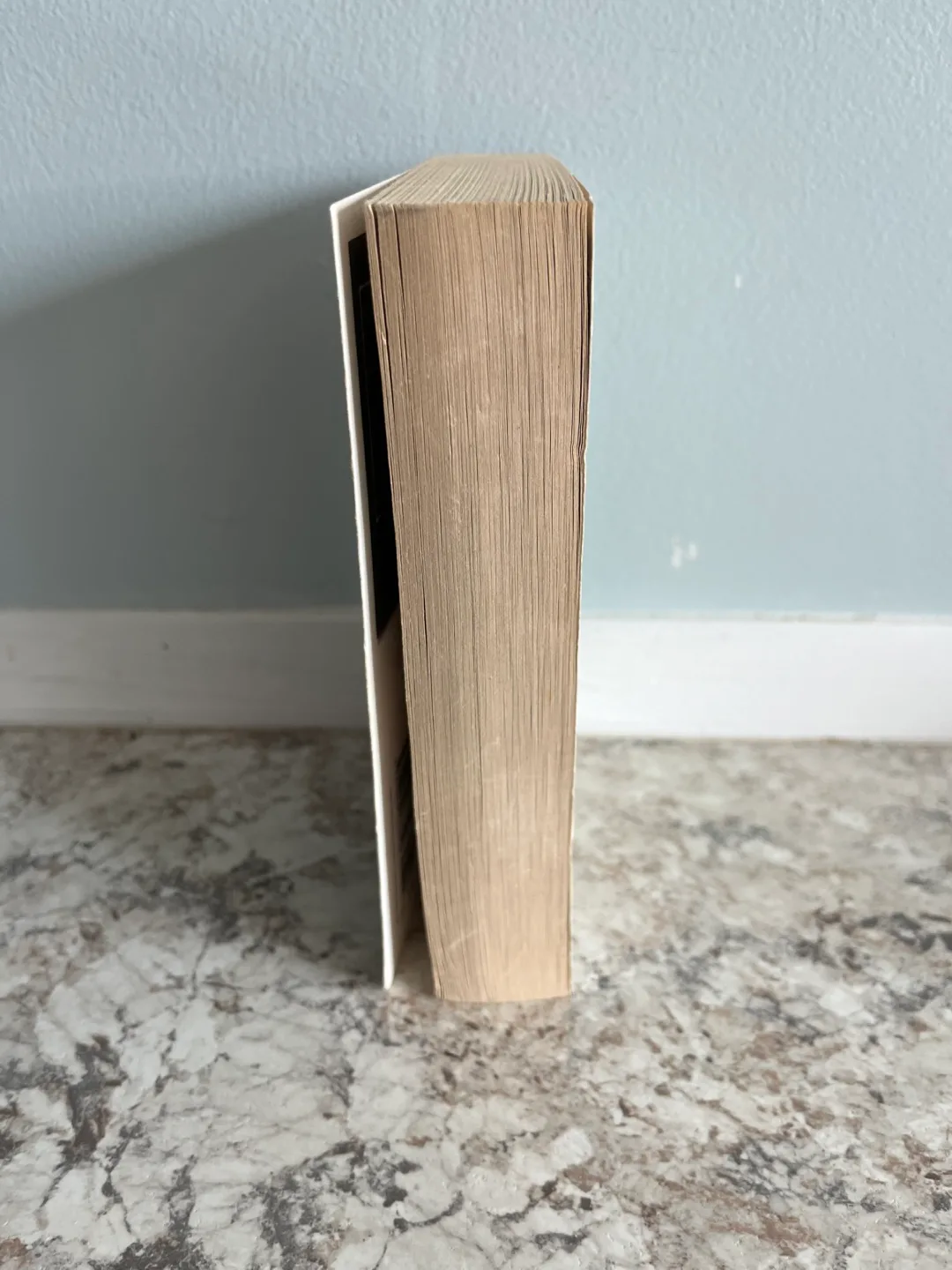 Path of the Warrior Warhammer 40,000 40K Book image indicator(3)