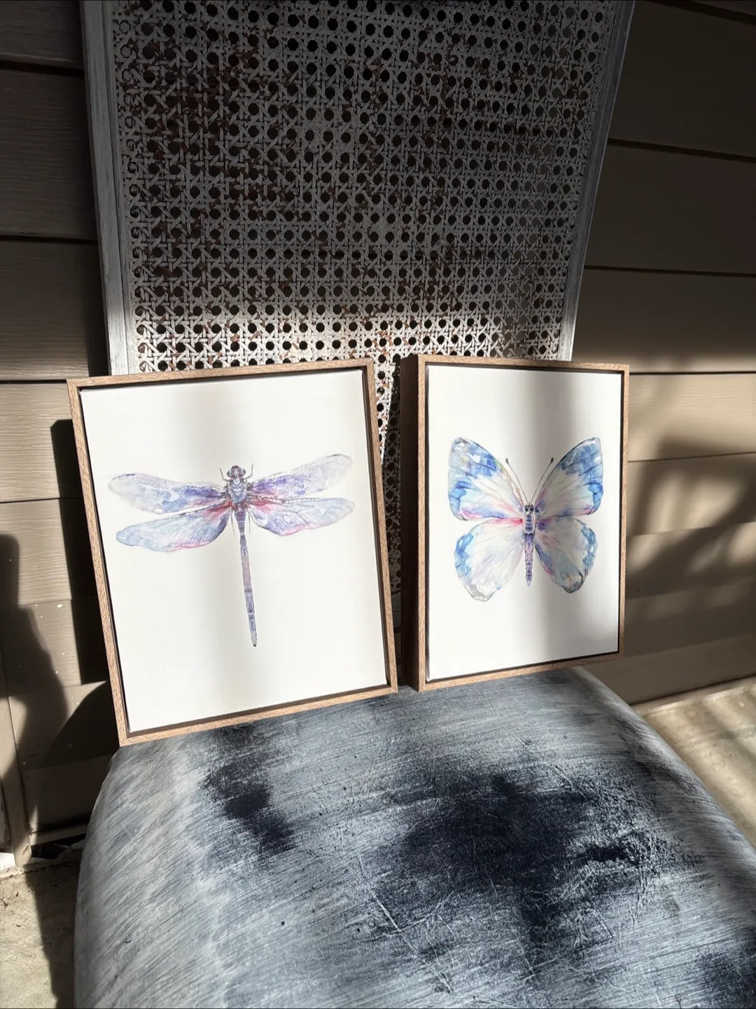 Butterfly and Dragonfly Art Prints image indicator(2)
