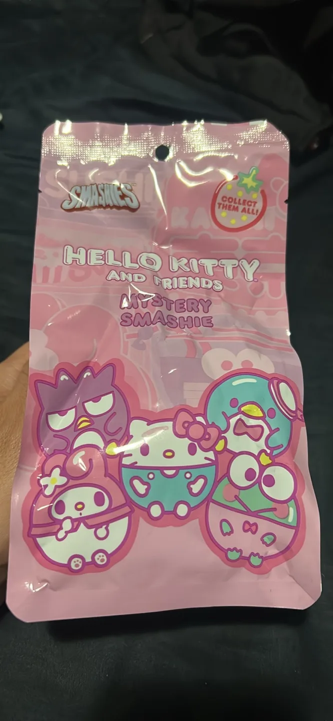 Hello Kitty and Friends Mystery Smashie thumbnail
