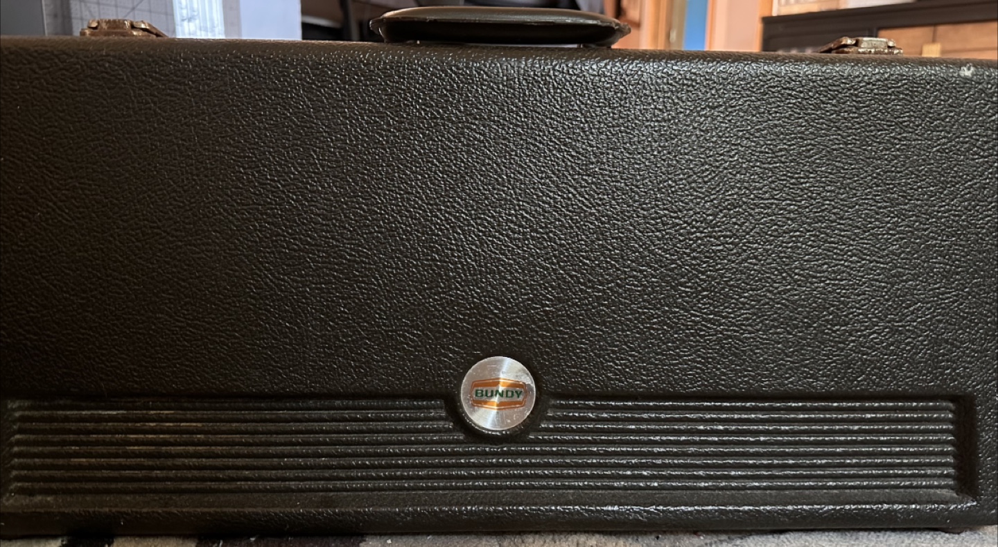 🎷 Saxophones + Combo Case – From $150 OBO - photo 4