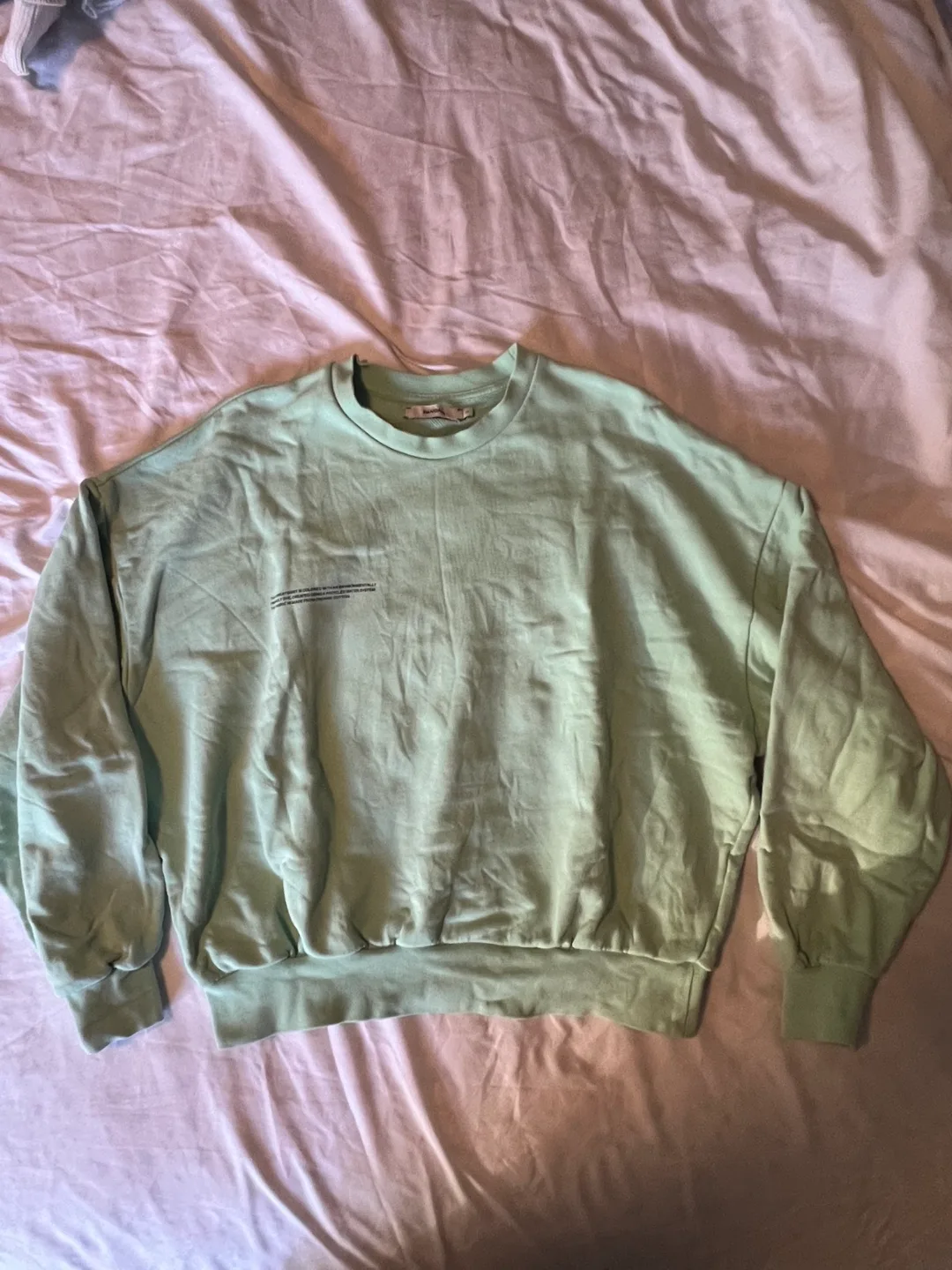PANGAIA OVERSIZED CREW NECK MINT GREEN thumbnail