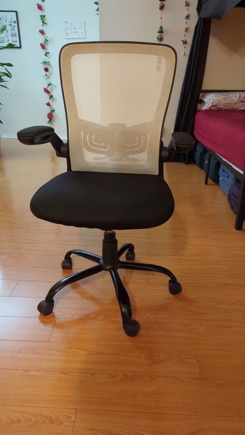 Mesh Back Office Chair