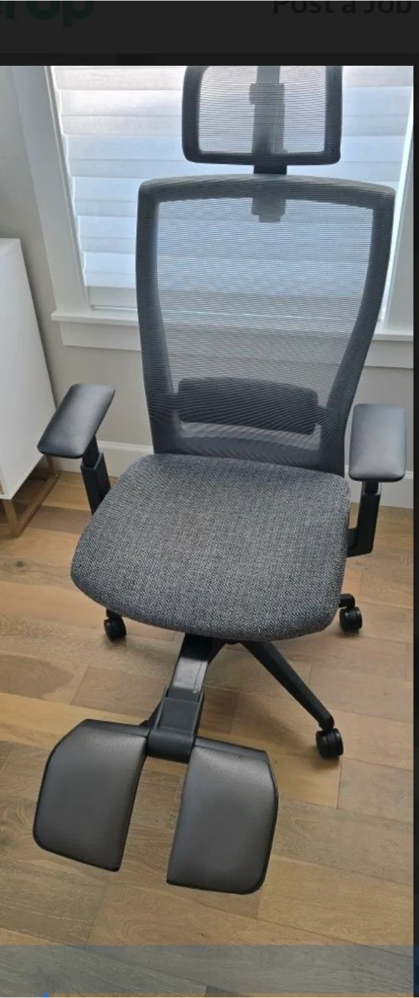 Autonomous ErgoChair Ergonomic Office Chair thumbnail