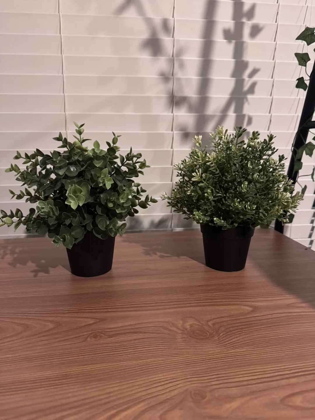 Small Decorative Potted Plants (IKEA) thumbnail