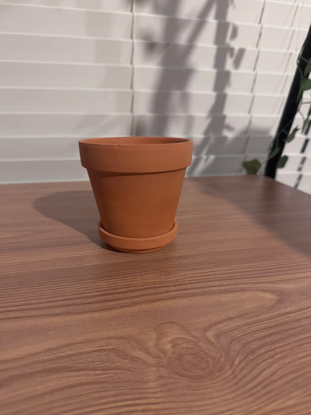 Terracotta Plant Pot with Saucer thumbnail