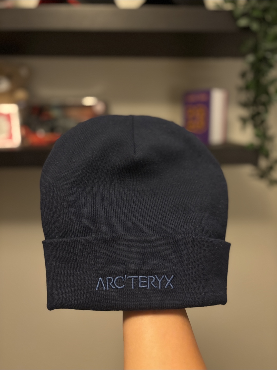 Arc'teryx Beanie