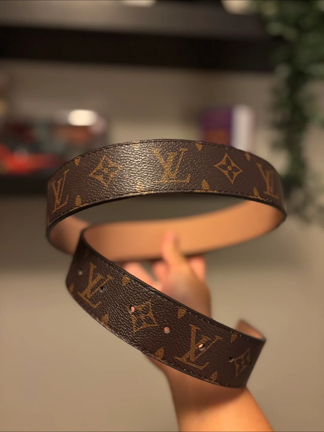 Louis Vuitton Belt image indicator(2)