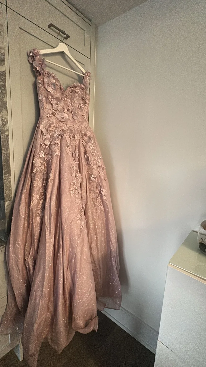 Quinceanera dress for sale image indicator(2)