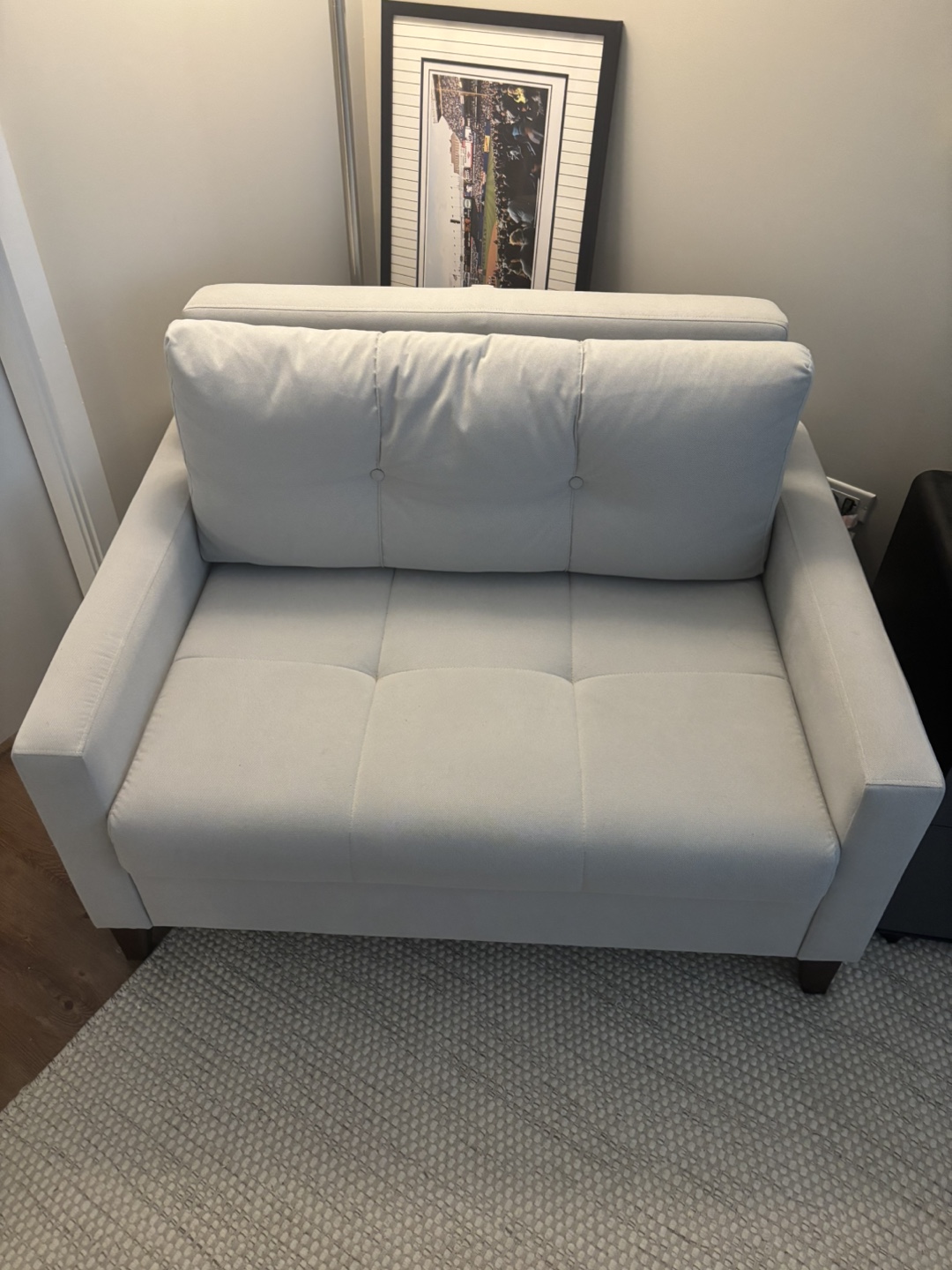 Sleeper Sofa Armchair